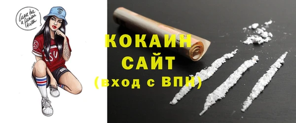 ГАЛЛЮЦИНОГЕННЫЕ ГРИБЫ Пестово