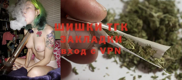 ГАЛЛЮЦИНОГЕННЫЕ ГРИБЫ Пестово